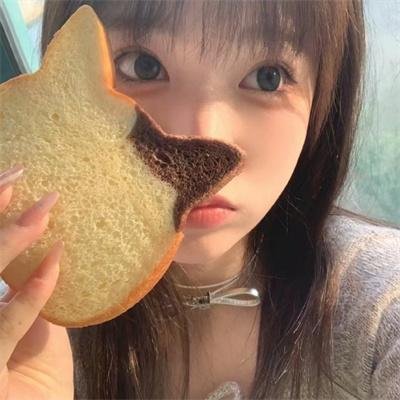 森林进化论第三季