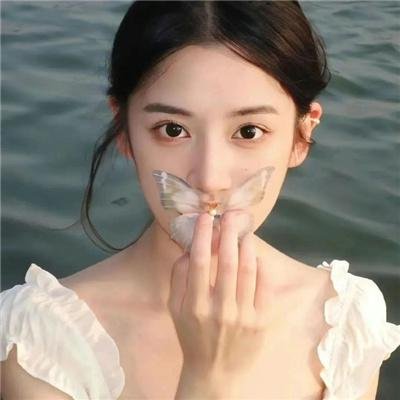 装甲娘战机